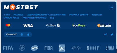 Partnerský program